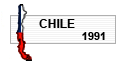 COPA AMRICA 1991 - CHILE
